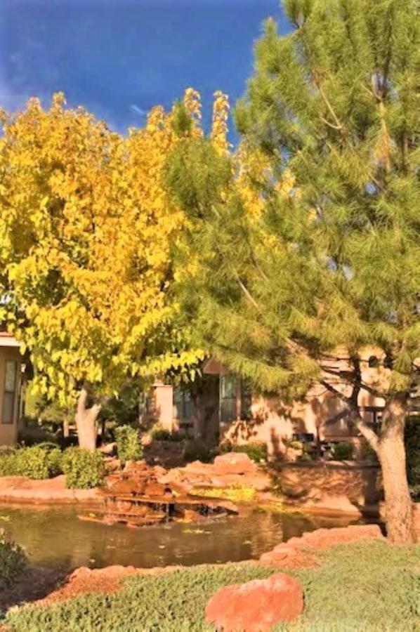 فندق سيدونا باينز ريزورت المظهر الخارجي الصورة A tree in the fall